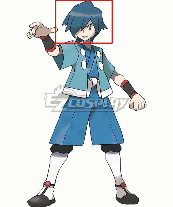Pokémon Pokemon Falkner Blue Cosplay Wig