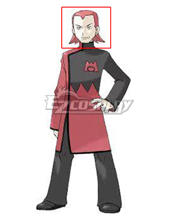 Pokemon Team Magma Leader Maxie Cosplay Wig