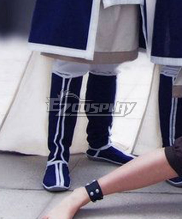 

Avatar the Last Airbender Uncle Iroh Blue Shoes Cosplay Boots