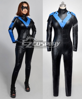 DC Comics Batman Arkham City Young Justice Nightwing Cosplay Costume