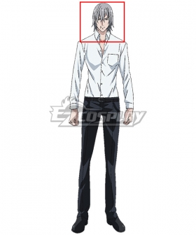 Noblesse M-21 Silver Grey Cosplay Wig
