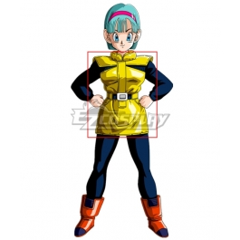Featured image of post Bulma Namek Outfit Obviously bulma should be a bit more masculine