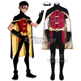 robin costume cosplay