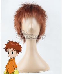 Digimon Adventure Izumi Koshiro Brown Cosplay Wig