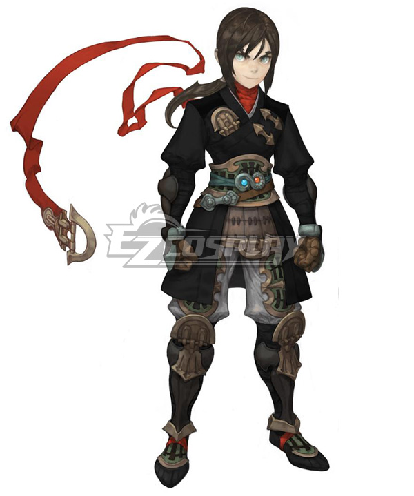 

Dragon Nest Assassin Cosplay Costume
