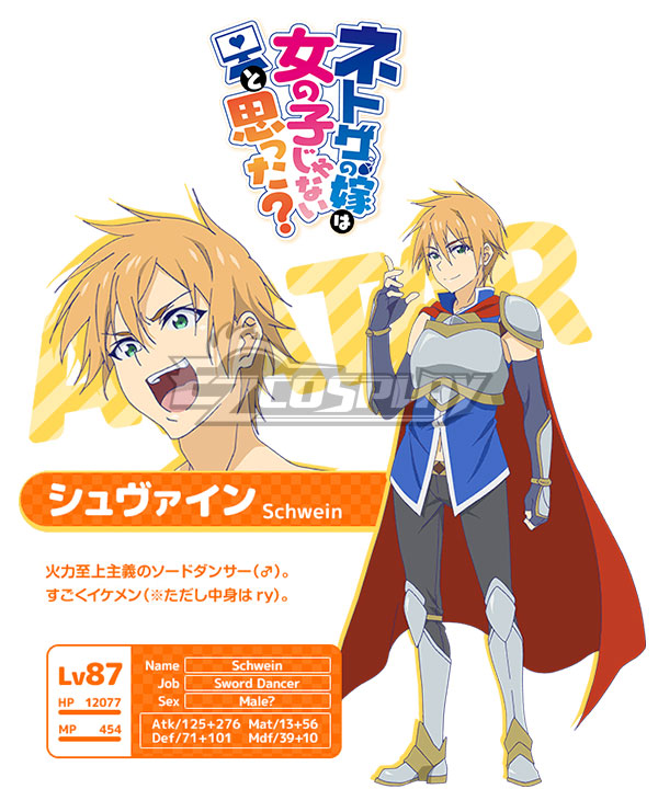 

And you thought there is never a girl online Akane Segawa Schwein Cosplay Costume