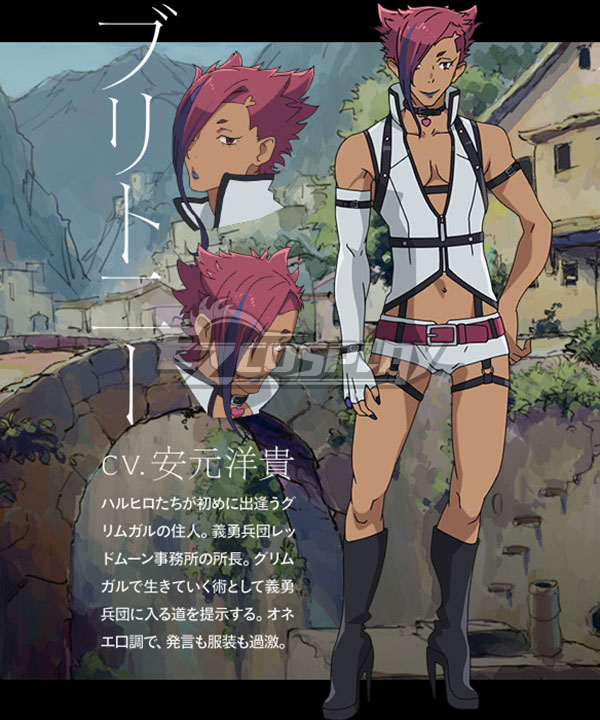 

Grimgar of Fantasy and Ash Britney Cosplay Costume