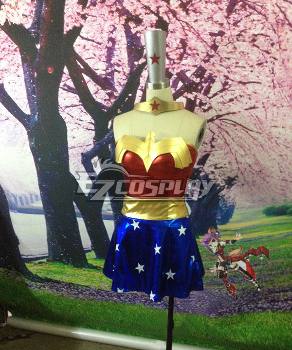 

DC Comics The Justice League Wonder Woman Cosplay Costume