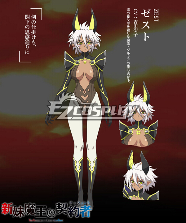 

The Testament of Sister New Devil Zest Cosplay Costume