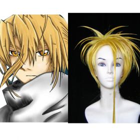

DN Angel Krad Commission Cosplay Wig EWG0050