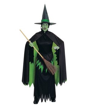 

The Wizard of Oz Wicked Witch Adult Costume EWO0005