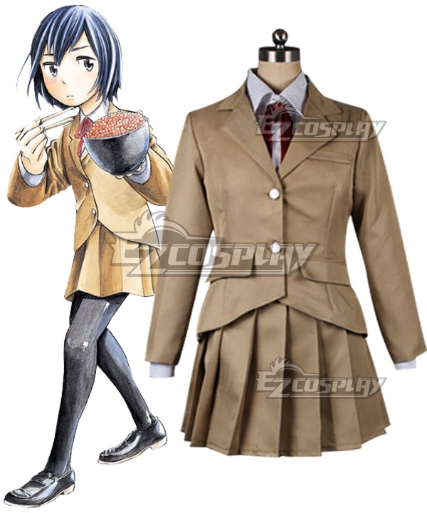 

Hinamatsuri Hina Hitomi Mishima School Uniform Cosplay Costume