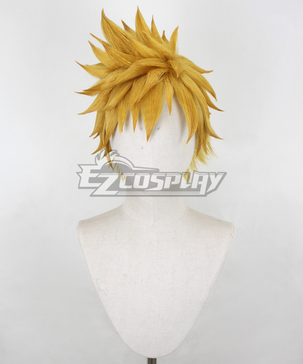 Cosplay wigs in usa store