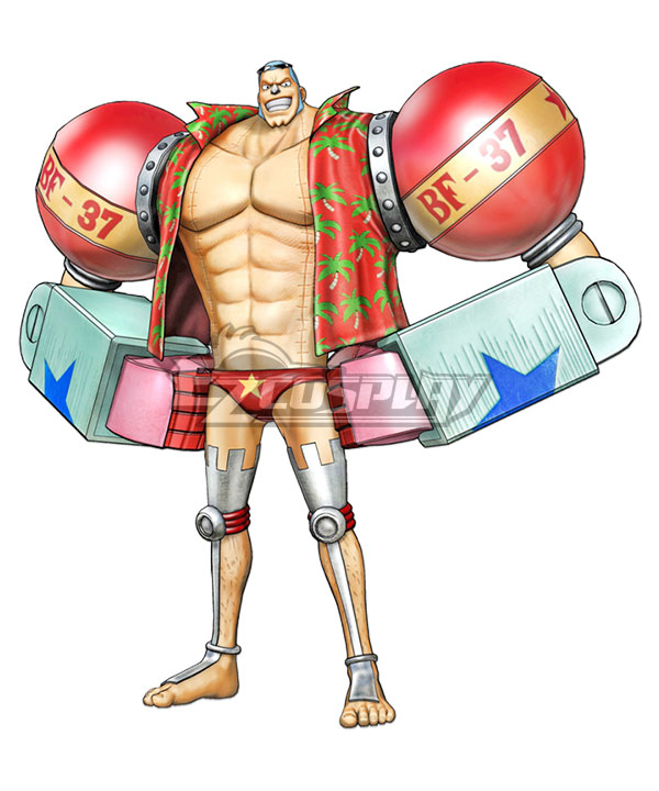 One Piece Franky 2 Years Cosplay Costume