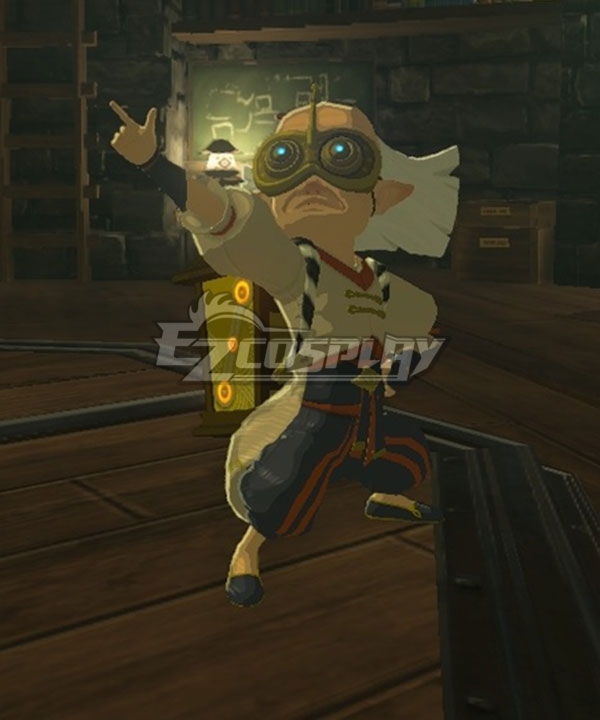 The Legend Of Zelda: Breath Of The Wild Robbie Cosplay Costume
