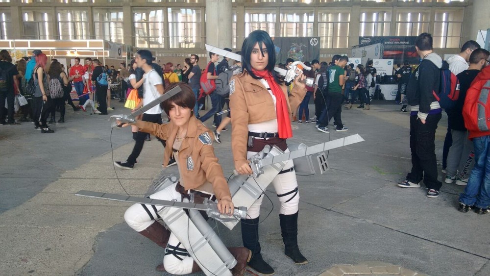 Eren and Mikasa (Shingeki No Kyojin)